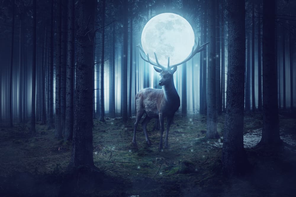 Superluna de Ciervo: trae el momento y la intensidad ideal para que cada uno de los signos saque adelante sus planes
