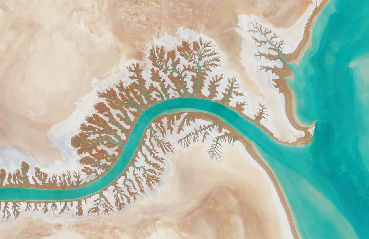 Humedal de Shadegan en Musa Bay, Irán.