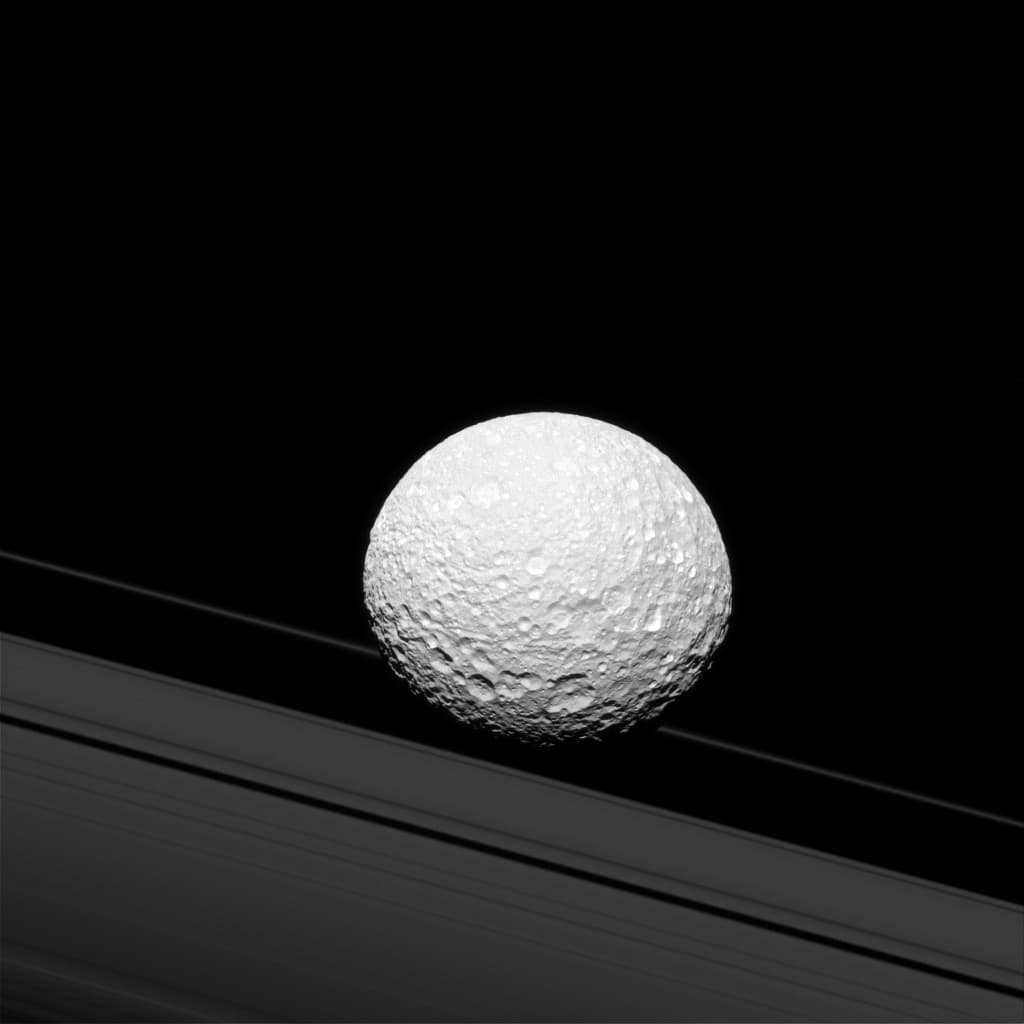 Puede parecer que la luna de Saturno Mimas se estrellara a través de los anillos, pero Mimas está realmente a 28.000 millas de distancia de los anillos. Sin embargo, hay una fuerte conexión entre la luna helada y los anillos de Saturno. La gravedad de Mimas crea ondas en los anillos de Saturno que son visibles en algunas imágenes de Cassini.