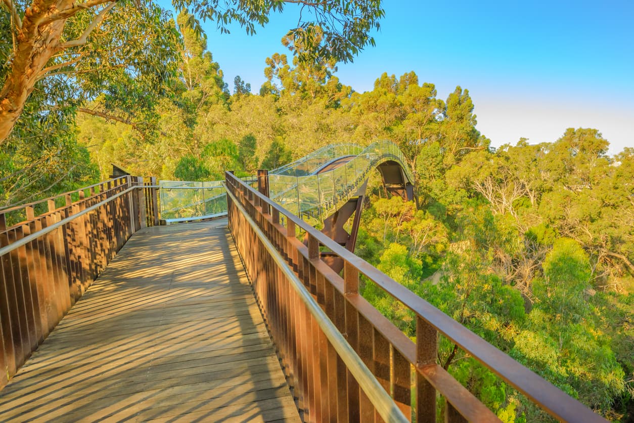 <b>Puesto 25. Kings Park y Jardín Botánico. Perth, Australia. </b>
<br>
<br>Kings Park es considerado uno de los parques urbanos más grandes del mundo. Alberga el Jardín Botánico de Australia Occidental, que muestra más de 3,000 especies de la flora única. Dos tercios del parque de 400 hectáreas están protegidos y brindan refugio a animales nativos.