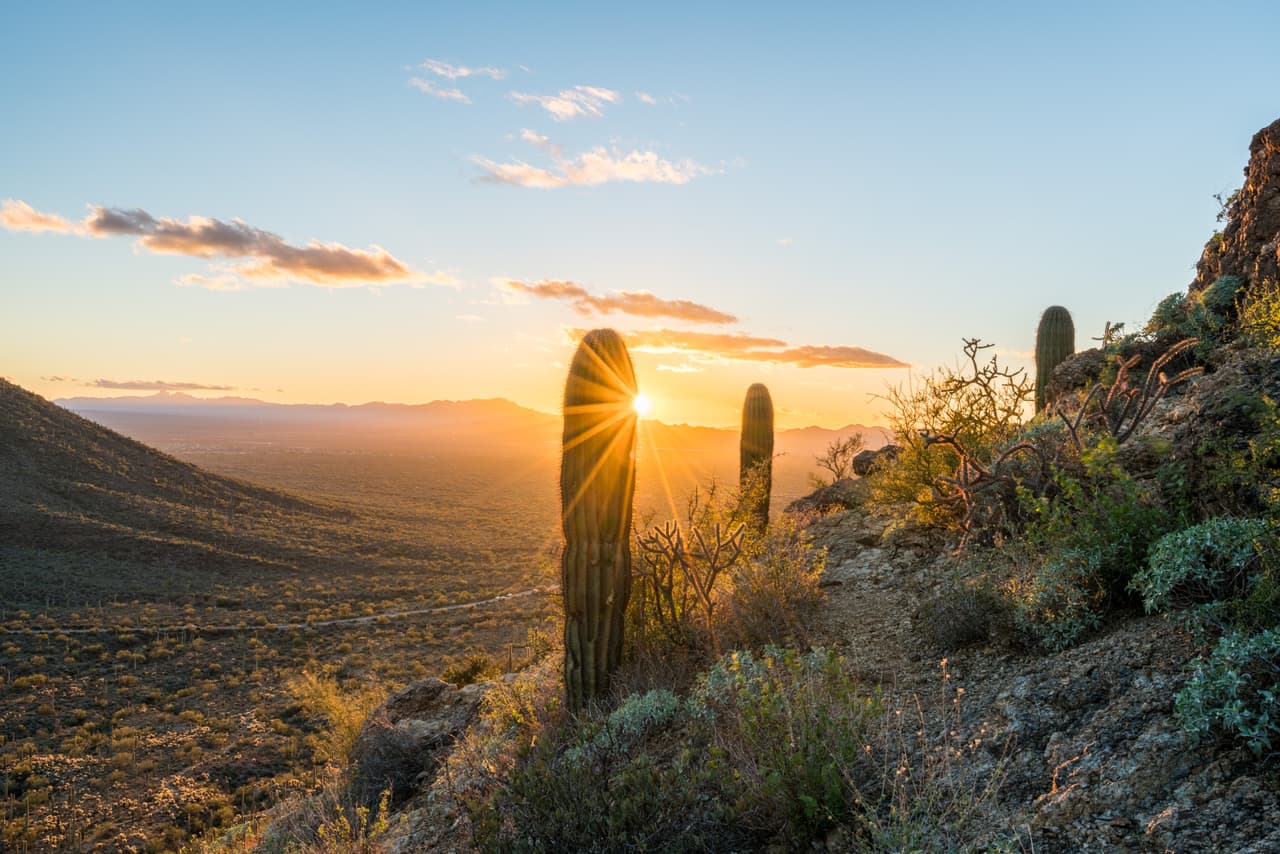 <b>Puesto 9: Tucson.</b>
<br>
<br>Esta urbe en Arizona fue designada como 
<a href="https://en.unesco.org/creative-cities/sites/creative-cities/files/tucson_2019_monitoring_report.pdf"><u>Ciudad de la Gastronomía por la UNESCO desde 2015</u></a>. Ofrece una mezcla de influencias nativas americanas, mexicanas y españolas coloniales con su variedad de cervecerías, destilerías y restaurantes. Pero el aire libre es la verdadera estrella del espectáculo en esta ciudad desértica. El centro está a solo unos minutos del Parque Nacional Saguaro (en la foto), donde puedes ver los cactus más grandes del país a lo largo de las rutas de senderismo.