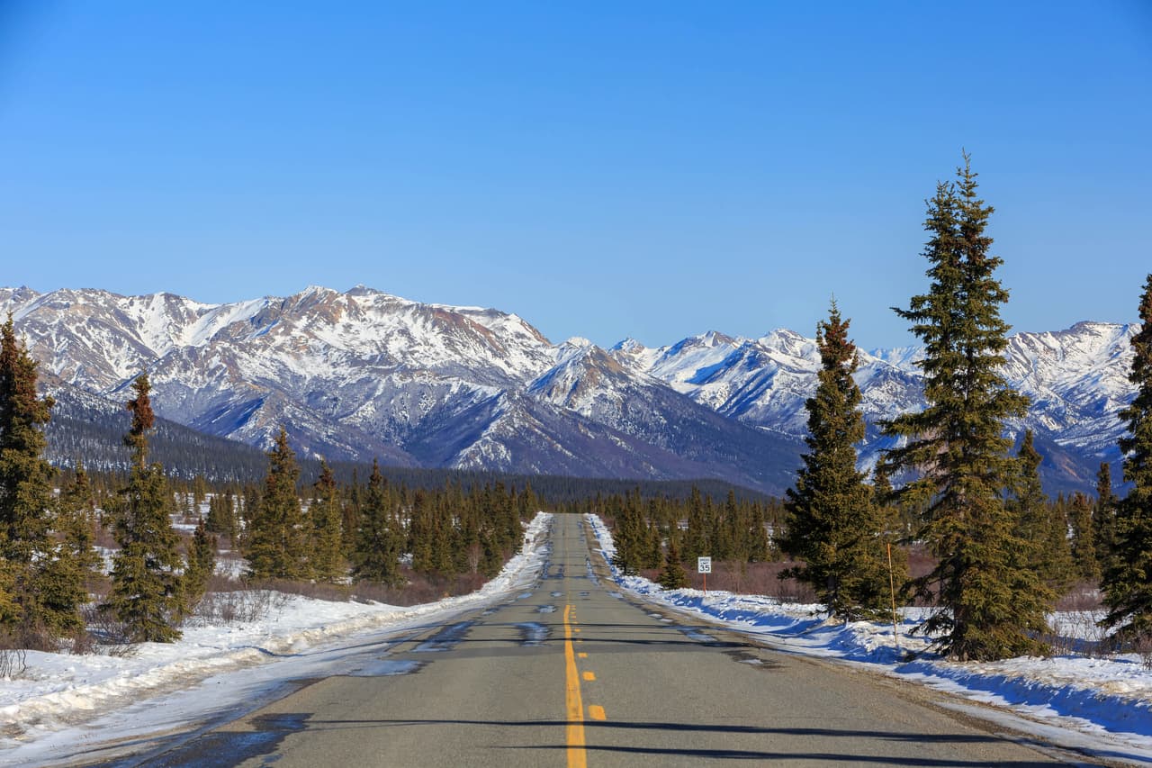 En el parque Denali se encuentra la montaña McKinley, el pico más alto de América del Norte, con 20,320 pies de alto (6,193 m).
<br>