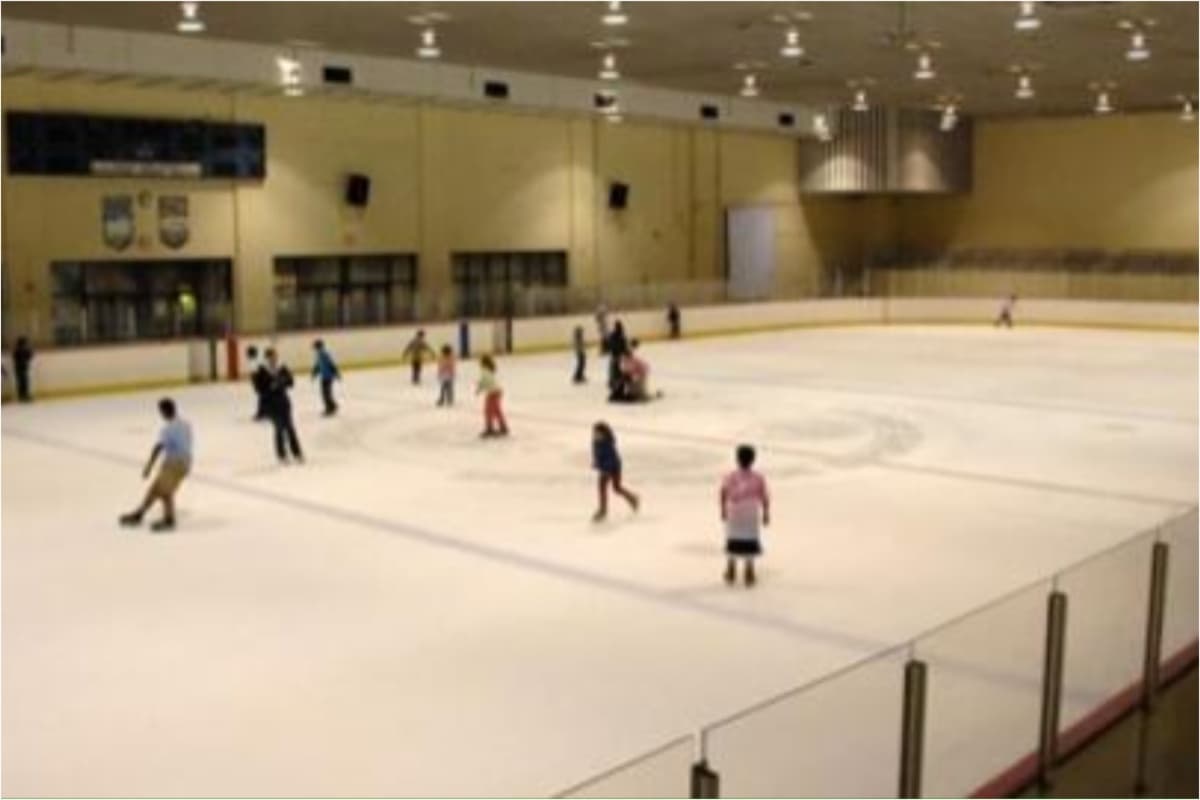 ⛸ 
<b>McFetridge Ice Rink (techada)</b>
<br>📍3843 N. California Ave.
<br>📆Abierto todos los días
<br>📲Distintas actividades y clases
<br>✍️(773) 478-2609