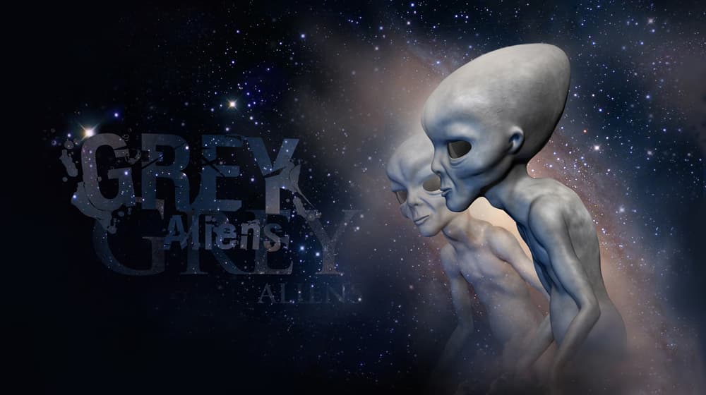 La representación alienígena más popular es la de los 
<b>grises</b>, que se dividen en los pequeños y altos. Los pequeños son seres delgados, de cabeza grande y alargada, con ojos negros y de unos cinco pies de altura. Supuestamente proceden de la constelación de Orión y que son quienes ejecutan la mayoría de las abducciones de personas cometidas en la Tierra.