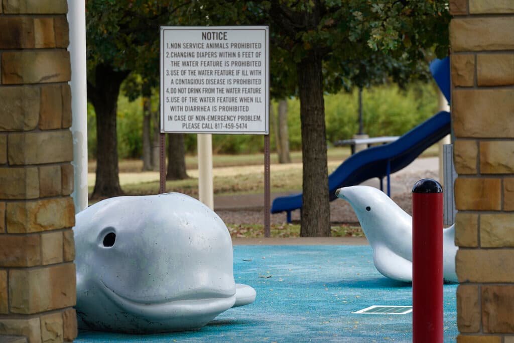 Un niño muere a causa de una ameba 'come cerebros' que fue encontrada en el agua de un parque de Texas