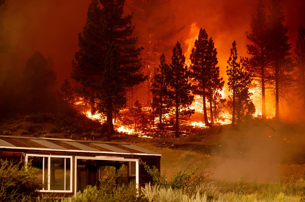Unos 500 bomberos combatían las llamas el domingo en Markleeville, “enfocándose en preservar la vida y las propiedades, con protección específica de estructuras y colocando líneas de contención donde es posible".