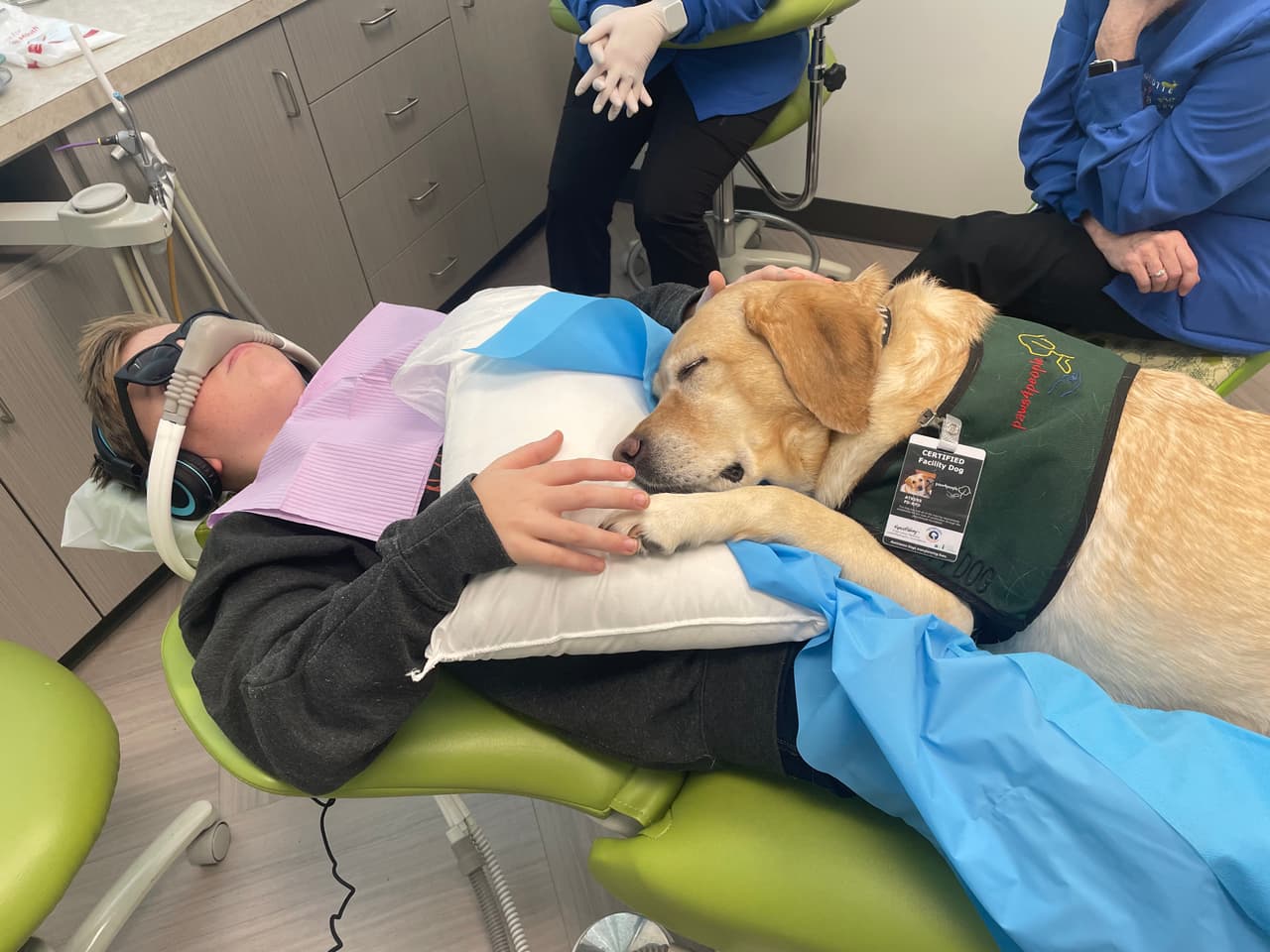 ¿Tienes miedo a ir al dentista? Estos perros ayudan a que los pacientes estén tranquilos 