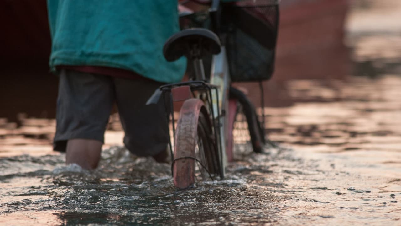 No camines, nades o manejes a través de aguas de inundación. Da la vuelta. ¡No te ahogues!
<br>