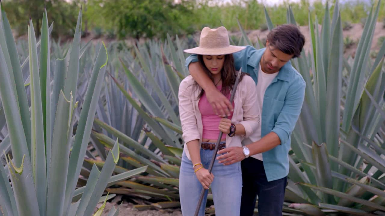 Nadie Como Tú, protagonizada por Brandon Peniche y Karla Esquivel llega a UNIMÁS