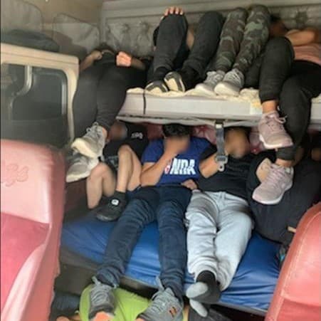 También los encuentran en los camarotes de los camiones, detrás de los conductores.