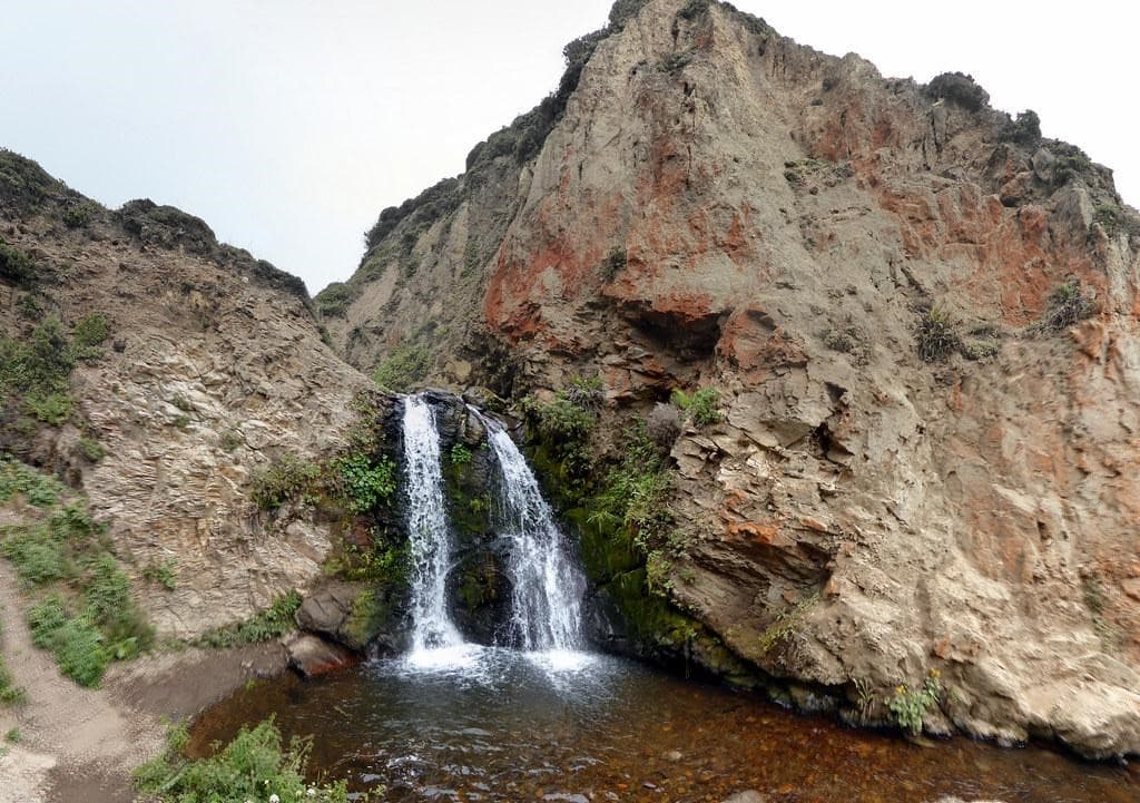 Esta peculiar cascada se encuentra escondida en lo profundo de 
<a href="https://www.nps.gov/pore/planyourvisit/phillip_burton_wilderness.htm" target="_blank">Phillip Burton Wilderness</a>. Cae desde un acantilado de unos 30 pies de altura sobre la playa Wildcat, donde podrán disfrutar impresionantes vistas de la costa de Point Reyes National, varios lagos, y bosques. Aunque es una caminata difícil, el viaje de ida y vuelta de ocho millas es bastante gratificante.
<br>