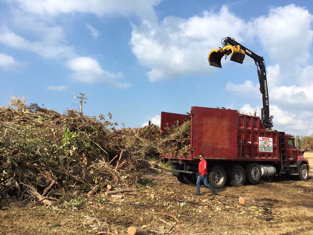Florida streets were filled with broken tree limbs after Hurricane Irma