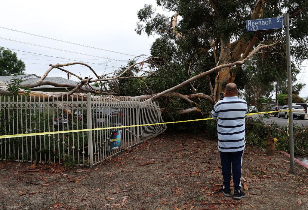 En Sun Valley hubo grandes vías afectadas por inundaciones este domingo en la noche, durante el paso de la tormenta tropical Hilary por el sur de California. Pero a la familia Acevedo, en la cuadra 11700 de Neenach Street no fueron las lluvias precisamente las que les causaron grandes daños.