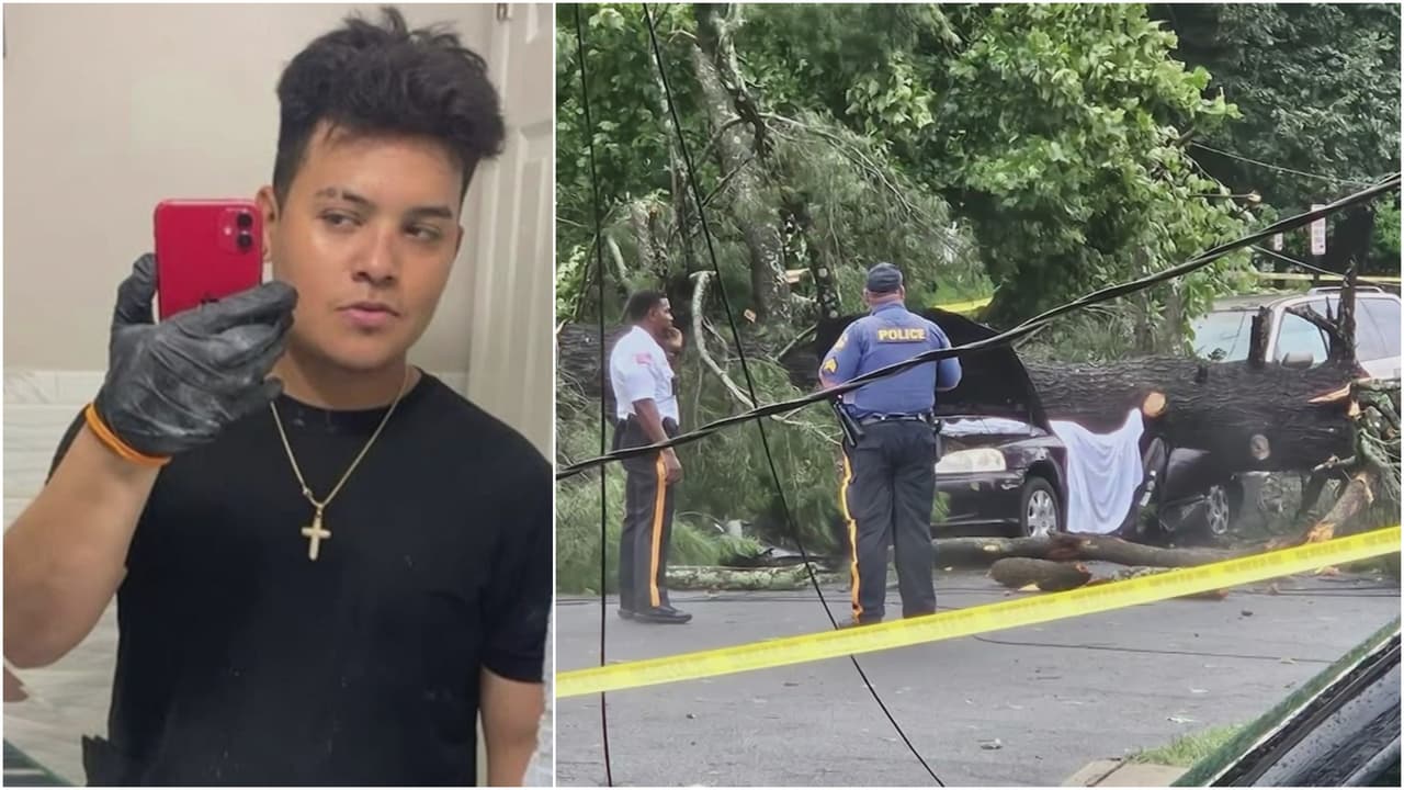Hispano muere mientras se resguardaba en su auto de una tormenta eléctrica: un árbol le cayó encima