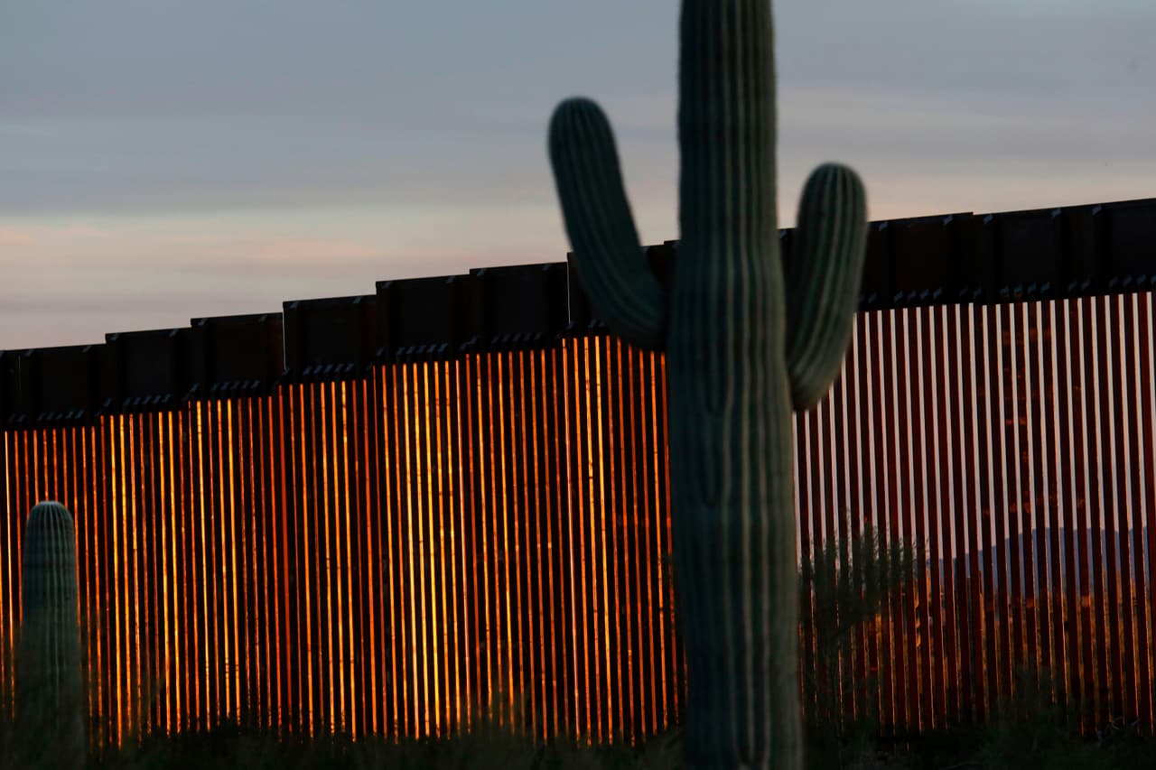 El saguaro no figura actualmente como amenazado o en peligro de extinción. Arizona tiene regulaciones estrictas sobre la recolección, recolección o destrucción de esta especie. El robo de plantas nativas protegidas tiene una multa de 1,500 dólares o más y es un delito grave de clase 4, según el sitio web cronkitezine, de la Universidad Estatal de Arizona (ASU).