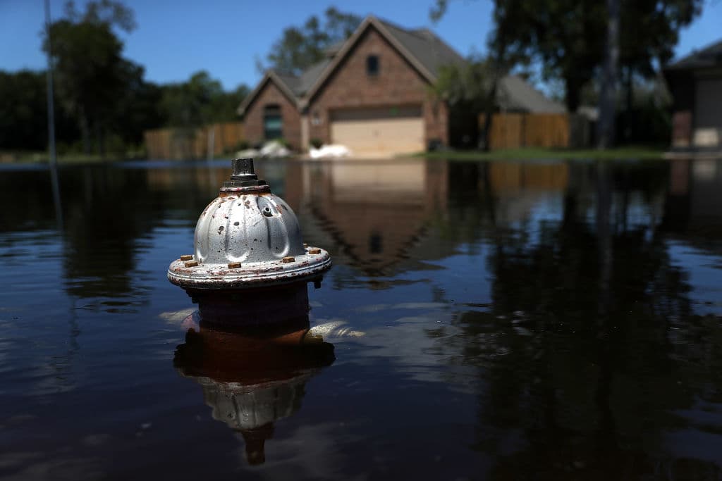 Cómo el huracán Harvey cambió mi vida