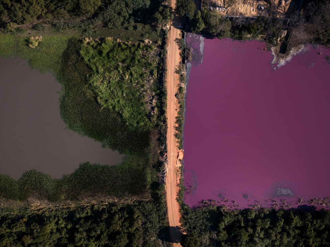 Mientras, las autoridades buscan confinar el pequeño lago para que cuando llueva en septiembre no se mezcle con los demás espejos de agua, y que las empresas involucradas se hagan cargo del daño perpetrado. "Yo creo que con un plan de tratamiento y con la ayuda de la naturaleza se puede recuperar el espejo de agua en la próxima temporada de lluvias", manifestó Morel a AFP.