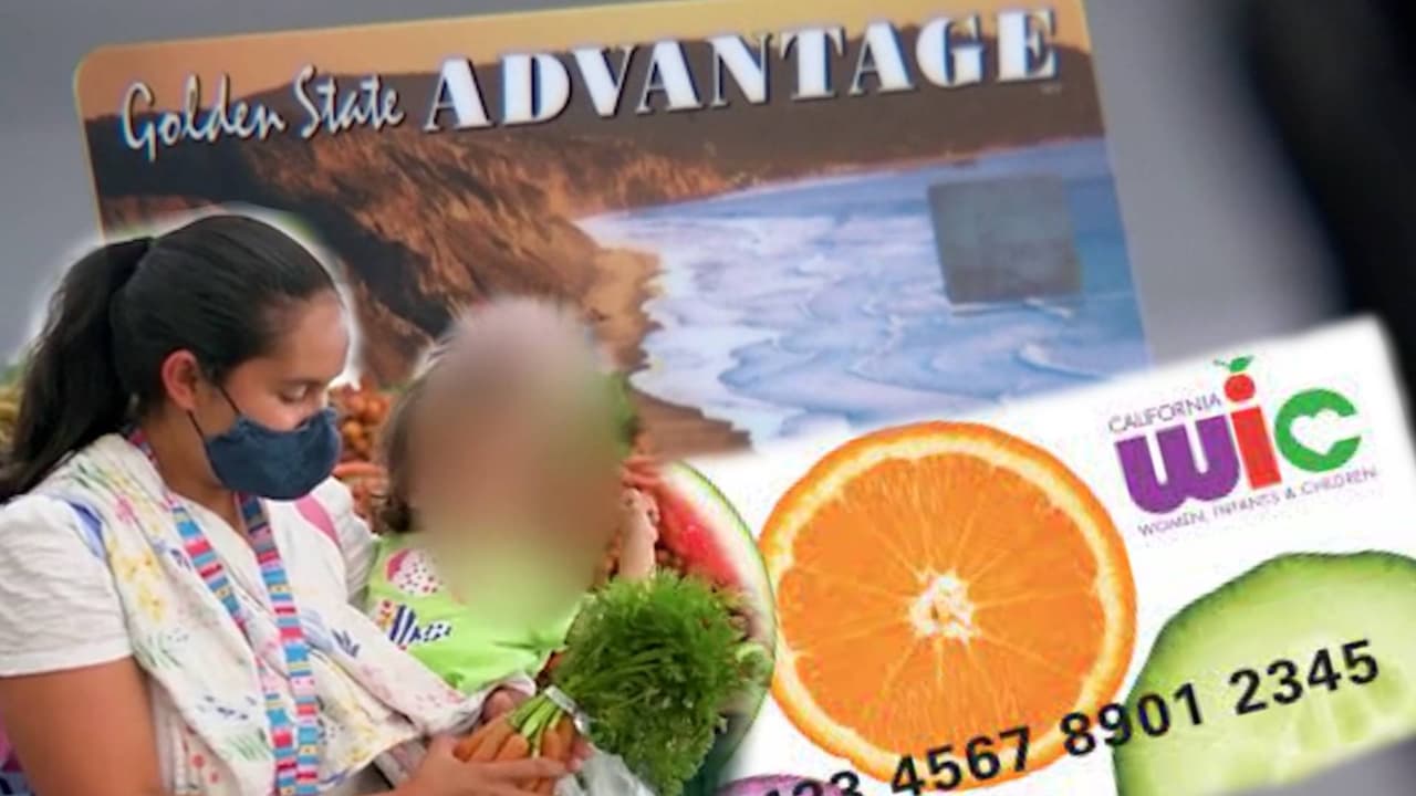 <h3 class="cms-H3-H3">¿Cómo solicito la ayuda de CalFresh para mi hijo ciudadano?</h3>
<br>
<br>Puedes realizar una solicitud en línea, por teléfono o en persona. Además, para personas de bajos recursos, pueden contactar a un trabajador social en las escuelas de sus niños o en una oficina del departamento de salud del condado y este funcionario puede orientarlos con la solicitud.
<br>
<br>Puedes entrar a 
<b>getcalfresh.org/es para mayor información.</b>
<br>