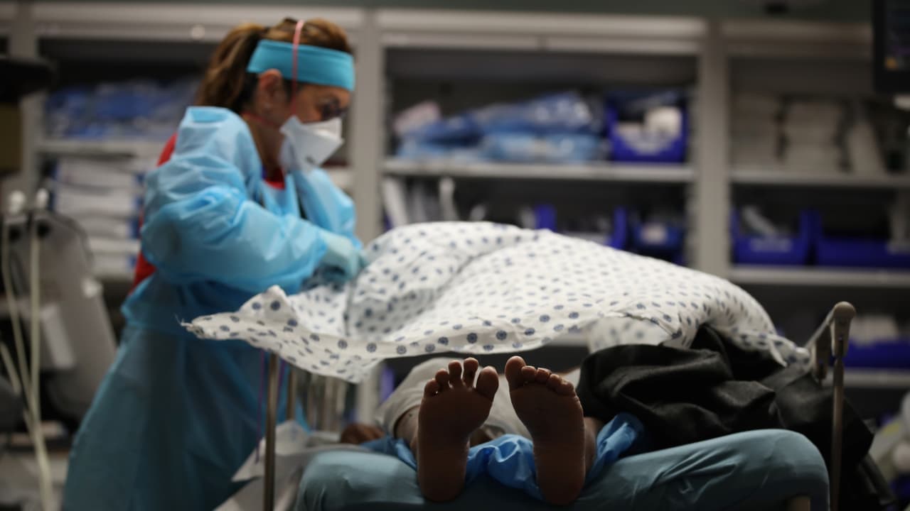 Mujer residente de Bakersfield enfrenta 126 cargos por fraude contra aseguradora