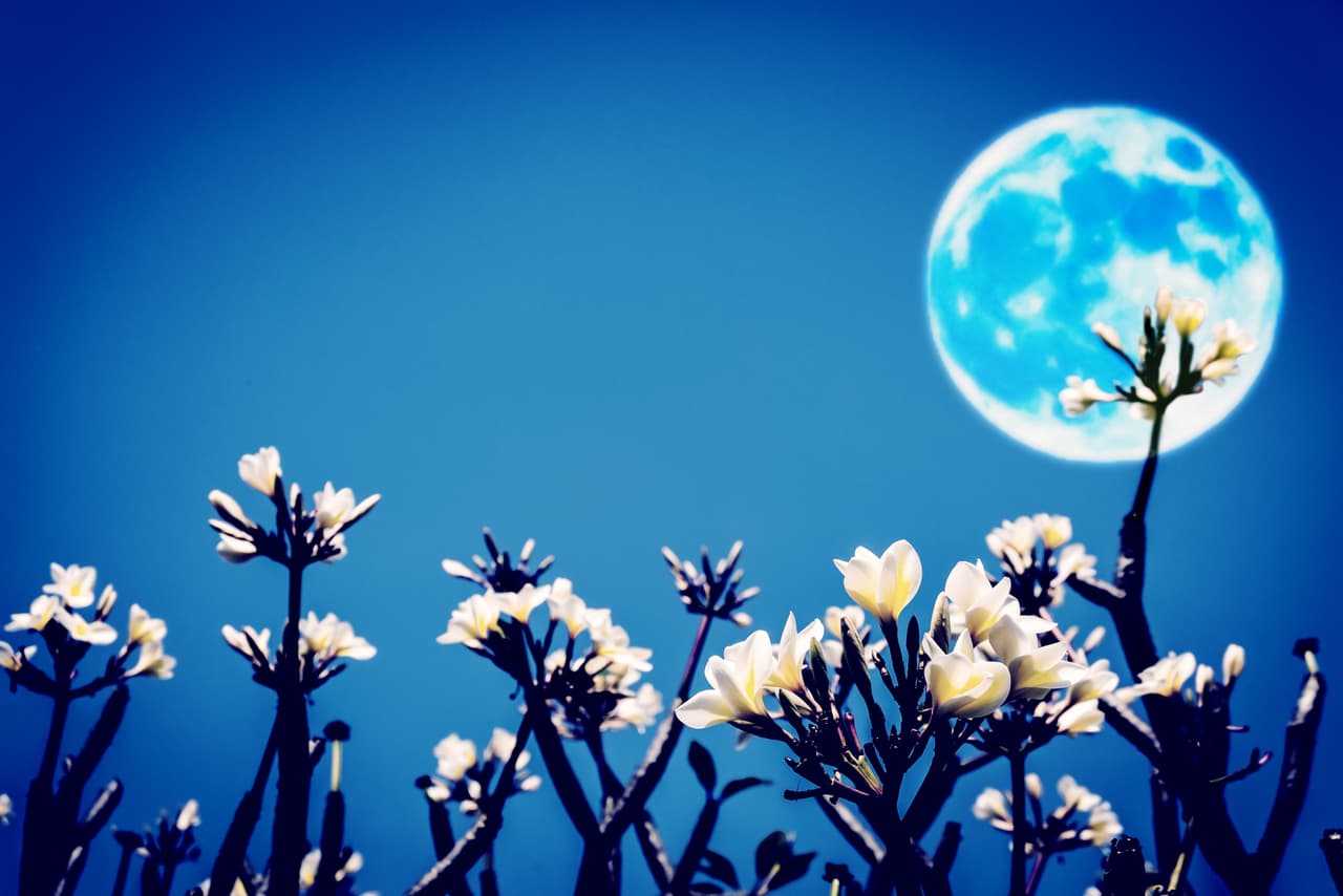Asimismo, cuando en el Horóscopo Diario lees que la Luna transita por tu signo, o por el mismo signo que la tenías al nacer, las cualidades correspondientes a ese tránsito se acentúan y te ayudan a personalizar mejor tu horóscopo. De ahí la utilidad de conocer este aspecto tan importante.