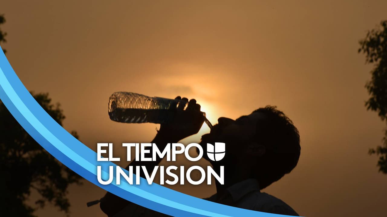Nueva York bajo alerta de calor extremo: el termómetro llegará a los tres dígitos