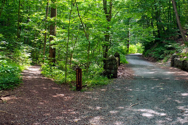 El bosque de Nolde abarca más de 725 acres de bosques caducifolios y plantaciones de coníferas. Una red de senderos hace que los arroyos, estanques y diversos hábitats del centro sean accesibles tanto para estudiantes como para visitantes.
<br>
<br>Las estaciones de enseñanza ofrecen lugares para que los estudiantes trabajen y bancos para aquellos que desean sentarse y disfrutar de las vistas y los sonidos del mundo natural.
<br>