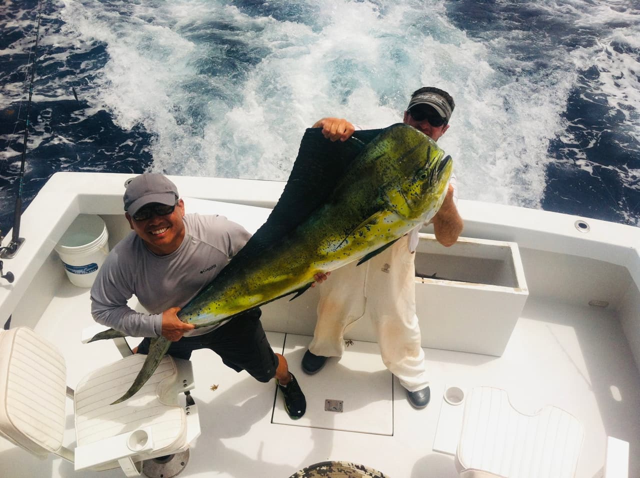 Mystery of the disappearing mahi-mahi divides fishermen