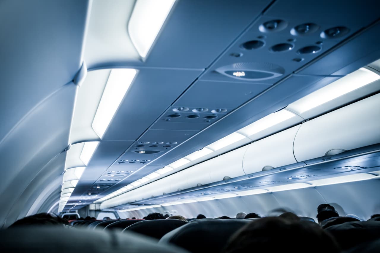 Una serpiente provoca que un avión de pasajeros aterrice antes de tiempo