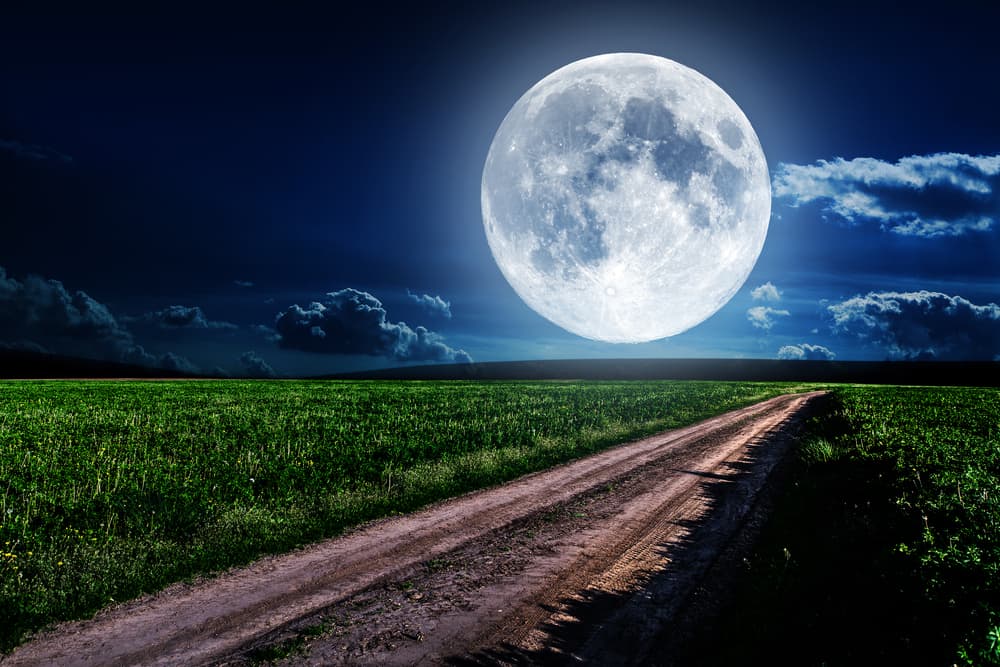 Siendo el 6 el número del amor por excelencia la proyección que emana es armónica. Como vas a utilizarlo a fin de atraer la abundancia harás lo siguiente: esperas que haya Luna llena: en tu horóscopo diario siempre aparece indicada.