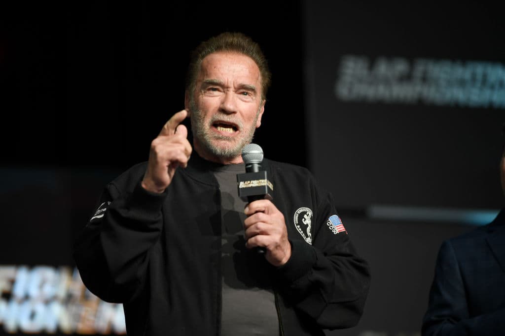 <b>Arnold Schwarzenegger</b> 
<br>Schwarzenegger es un ícono del cine gracias a su rol en la saga de 'Terminator' (1984), 'The Expendables' (2010) y 'Conan the Barbarian' (1982).
<br>