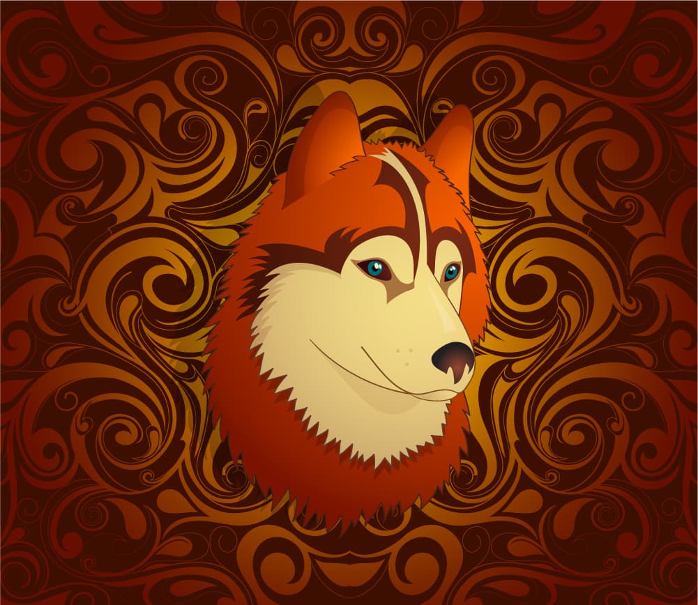 <b><u>Perro </u></b>
<br>
<b><u>(Los nacidos en 1934, 1946, 1958, 1970, 1982, 1994, 2006, 2018)</u></b>
<br>Tu Nadir o Némesis en el horóscopo chino es el signo del 
<b>Dragón</b> (Los nacidos en 1940, 1952, 1964, 1976, 1988, 2000, 2012)