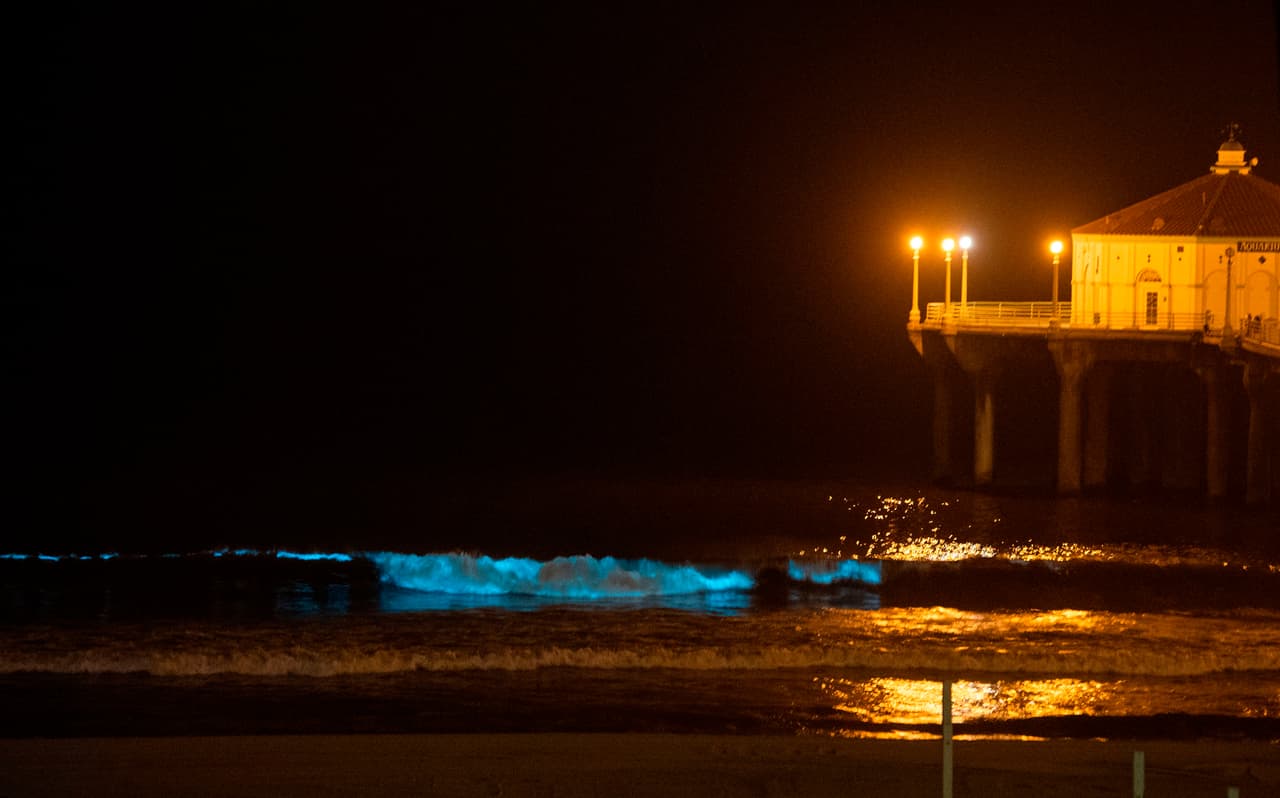 Aunque la mayoría de las mareas rojas y los efectos de bioluminiscencia son naturales, "existen preocupaciones en la comunidad científica debido al aumento en la cantidad de floraciones que ocurren anualmente. 
<b>Floraciones de fitoplancton (algunas de estas tóxicas) están ocurriendo en partes del mundo donde nunca antes habían ocurrido.</b> La actividad humana ha aumentado la cantidad de nutrientes que ingresan a nuestras aguas costeras, y pudiera estar relacionada con el aumento del número de mareas rojas", según el UCSD.
