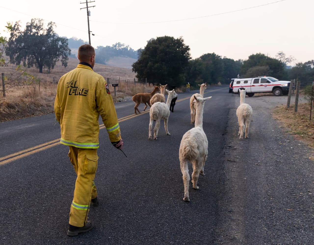 Mickey Chizek fue uno de los bomberos de Cal FIRE que protegieron a decenas de llamas de ser alcanzadas por el fuego en una zona cercana a Windsor.