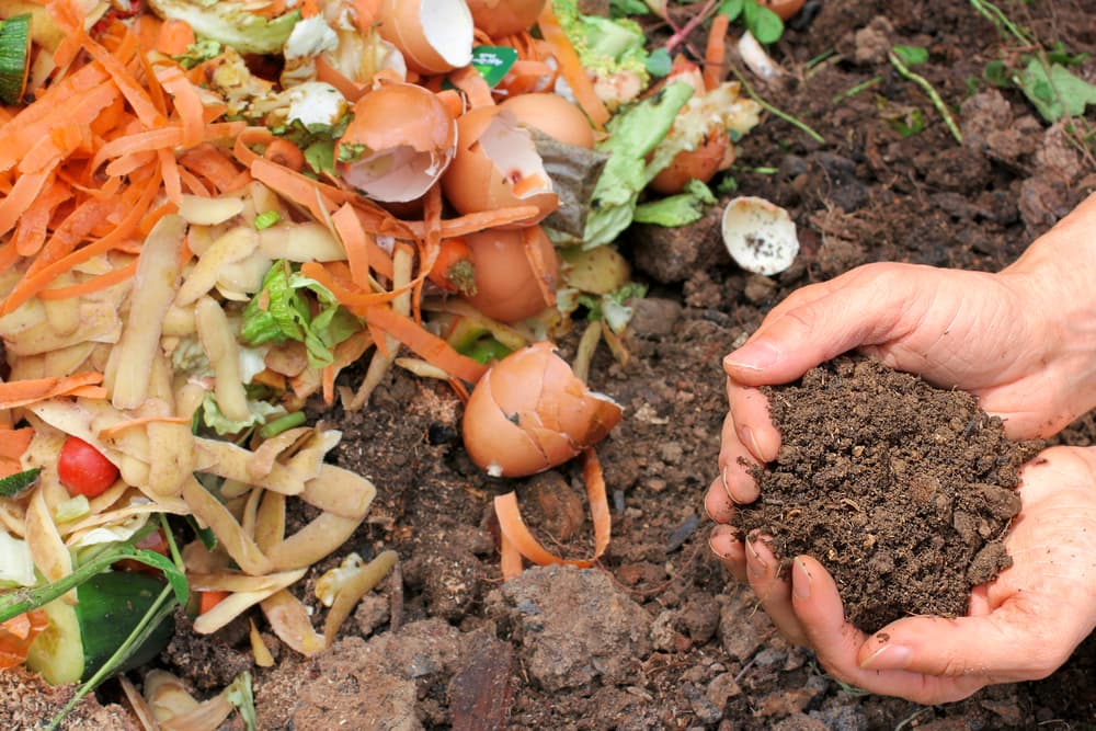 Es como si un vecino te echara basura en el patio, en lugar de devolvérsela usarla como abono en tu tierra. Una especie de “reciclaje” en que lo negativo, malo, conflictivo y dañino queda neutralizado y a su vez se transforma en algo positivo. Además así funciona la ley de los opuestos, el yin y el yang, lo positivo, y lo negativo.
<br>