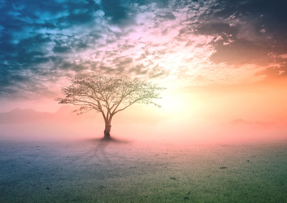 Según las naciones, la historia y las culturas la belleza cambia de parecer y como suele decirse, la naturaleza ha dado a cada una de las criaturas la belleza necesaria. El arte consiste en encontrarla y lo sabes. 
<br>