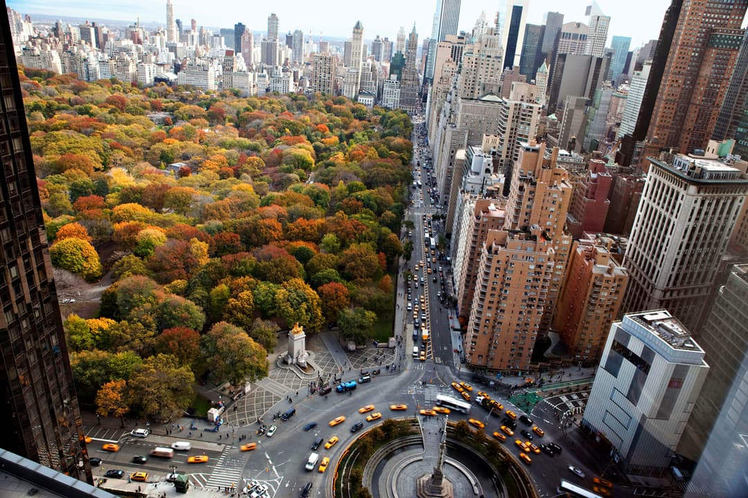 Los reportes de I LOVE NYC son tan precisos que hasta detallan cuáles son los colores dominantes en cada lugar, qué días el follaje será más abundante, y otros detalles. 
<br>
<br>
<br>