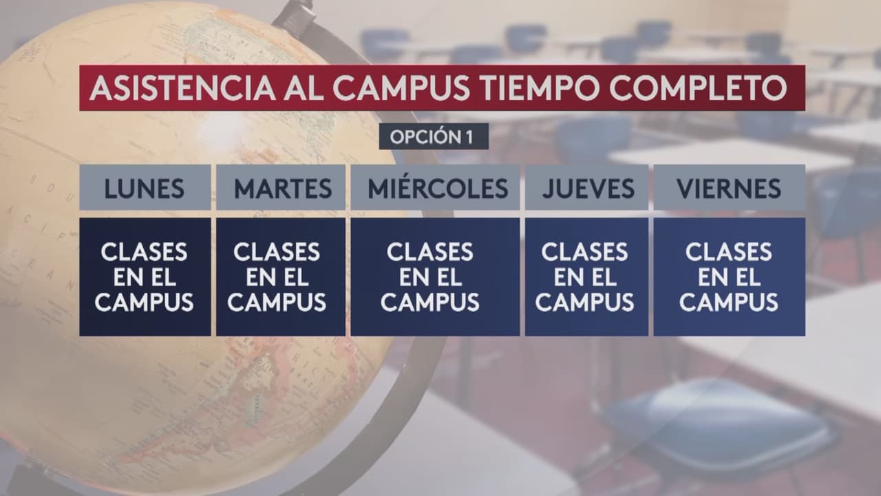 En la primera opción los niños asistirán los 5 días de la semana al campus. 
<br>