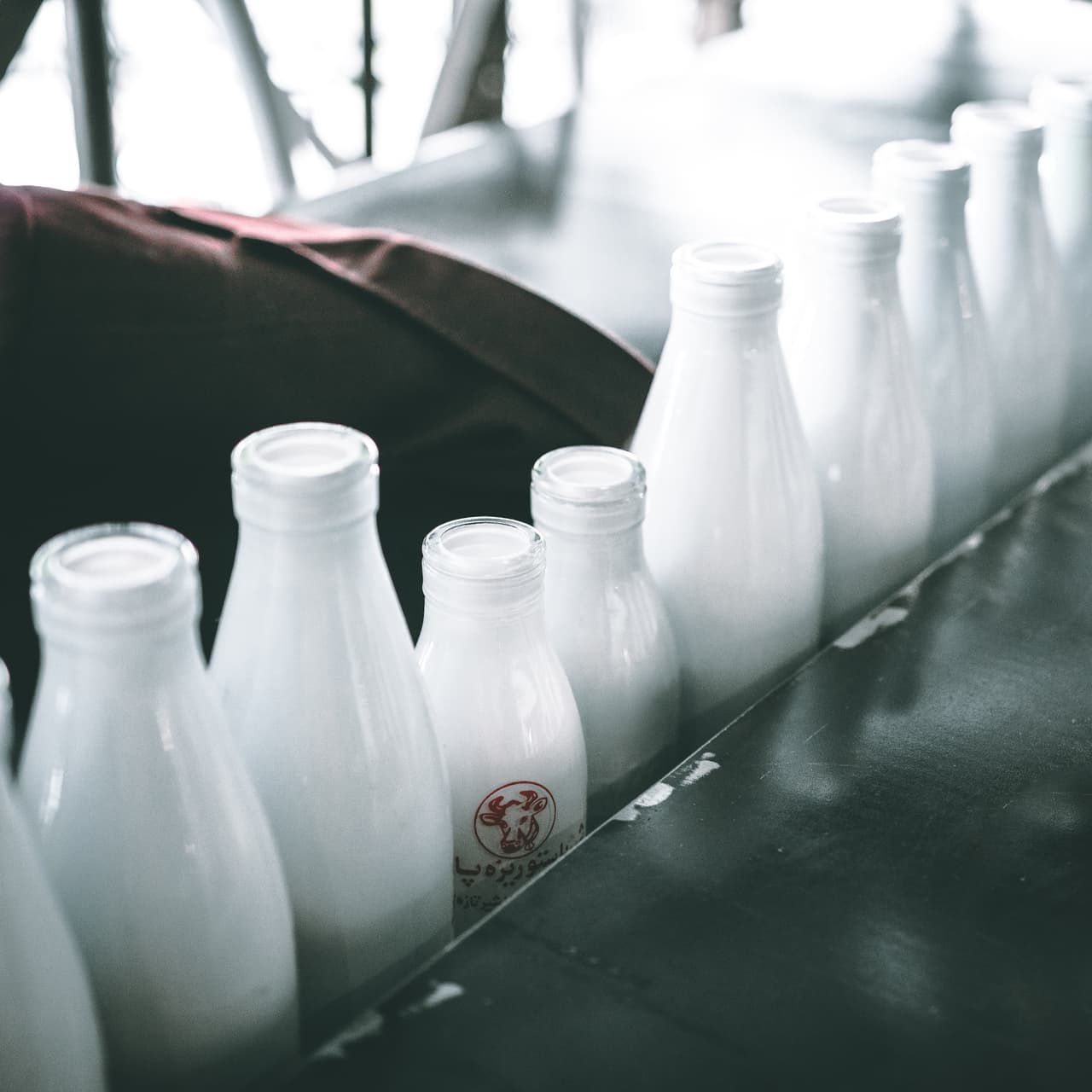 <b>Leche cruda: rica, pero peligrosa. </b>Si bien es cierto que el sabor de la leche que sale directamente de la vaca –sin calentar ni pasteurizar– es mucho más intenso, la leche cruda, que se puso de moda en los últimos tiempos en EEUU, representa un problema de salud. La presencia de algunas bacterias puede causar diarreas, vómitos o náuseas.
