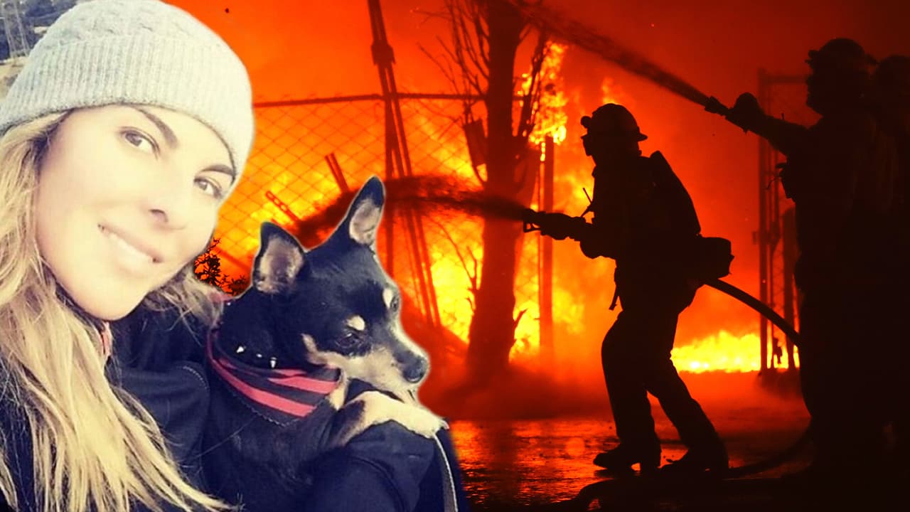 Muy preocupada, Kate del Castillo logró poner a salvo su perrita ante la proximidad de los incendios en California