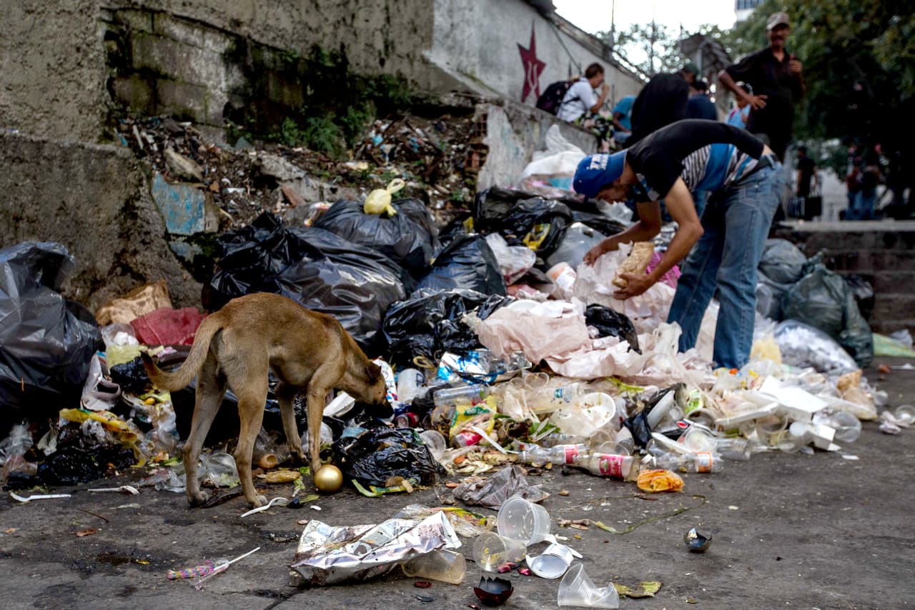 Otro grupo de unas 20 personas se reúne en el basurero de la plaza El Venezolano, también ubicada en el centro de Caracas, a una cuadra de la sede de la Misión Negra Hipólita, el programa social creado por el chavismo para atender a las personas que viven en la calle. “Yo creo que esa gente se lleva esa comida para su casa. Tú ves a esa gente de la Misión Negra Hipólita y parecen todos unos cochinos: abombaos, culones, rosaditos”, dice uno de ellos. El gobierno alega que el dinero del más reciente boom petrolero fue a parar a la "inversión social", pero 
<a href="http://www.univision.com/noticias/america-latina/del-boom-petrolero-a-la-pobreza-extrema-a-donde-fue-el-dinero-de-venezuela">el aumento de la pobreza extrema refleja lo contrario</a>.