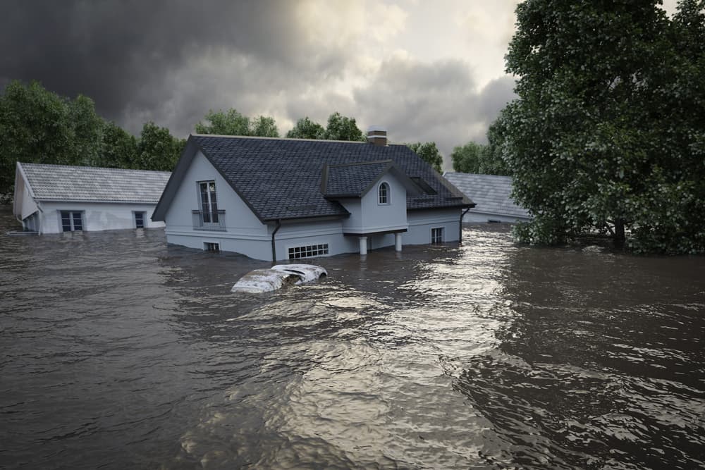 Hay cuestiones que cada año empeoran y que nos dicen que las 'vaticinó' él, como que habrá muchos desastres ecológicos, como inundaciones, grandes tormentas y sí, es cierto que el cambio climático nos está pegando muy duro por todo el mundo.