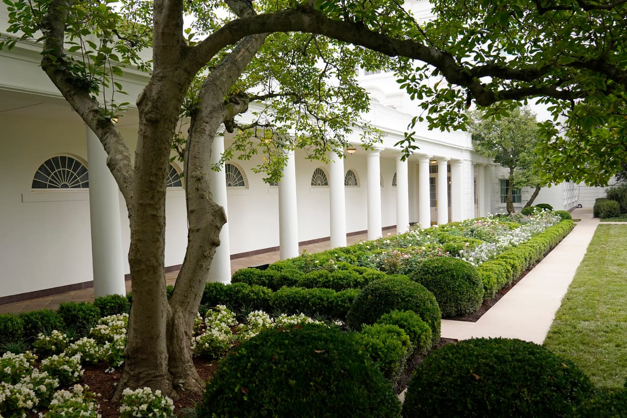 Se trata del Jardín de las Rosas, escenario de importantes eventos en la historia de Estados Unidos. Ahora tiene menos rosas, más paseos peatonales de cemento y sin el adorno de manzanos cangrejo que decoraban el lugar.