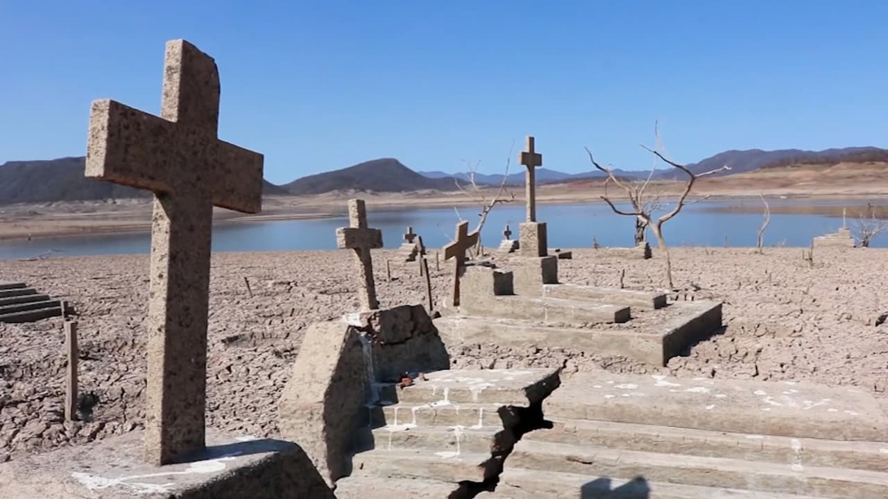 <b>En video. Las ruinas de un cementerio hundido emerge por la sequía en la represa Bacurato, en México</b>
<br>
<br>Han pasado ya 35 años desde que los habitantes de Terahuito, México salieron de este lugar por la construcción de la presa Bacurato que ahora experimenta una de las más graves sequías de la región. Una de las familias desalojadas regresa a visitar a los difuntos.