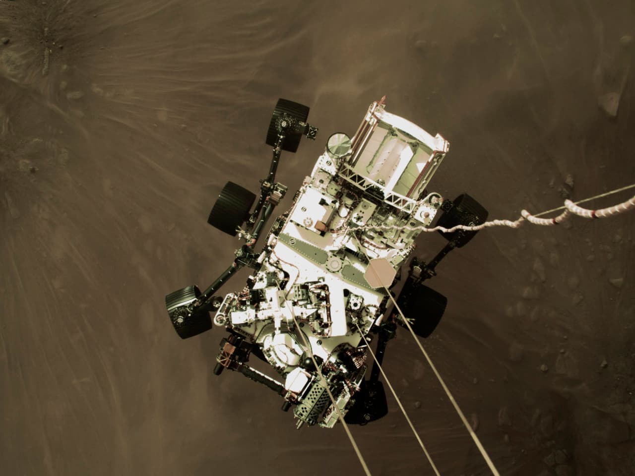 Otro toque adicional no muy conocido hasta el aterrizaje: Perseverance lleva una placa que representa a los cinco 
<i>rovers</i> de 
<b><a href="https://www.univision.com/temas/marte">Marte</a></b> de la NASA en tamaño creciente a lo largo de los años, similar a las calcomanías de automóviles familiares que se ven en la Tierra. Esta foto del jueves 18 de febrero de 2021 proporcionada por la NASA muestra el rover 
<b>Perseverance</b> bajado hacia la superficie de 
<b>Marte</b> durante su descenso motorizado.