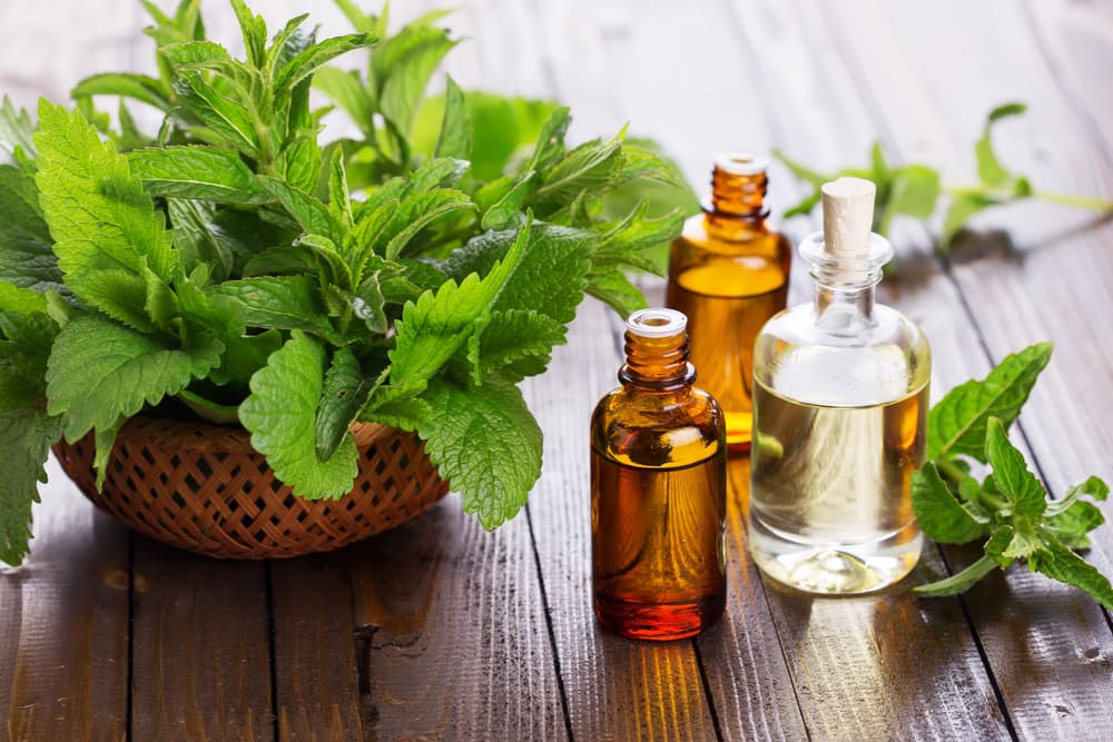 Y al igual que los insectos anteriores, a las moscas no les gustan algunos aromas, por lo que utilizar aceites esenciales puede ayudarte. Usa los de aroma a lavanda, menta, eucalipto o albahaca.