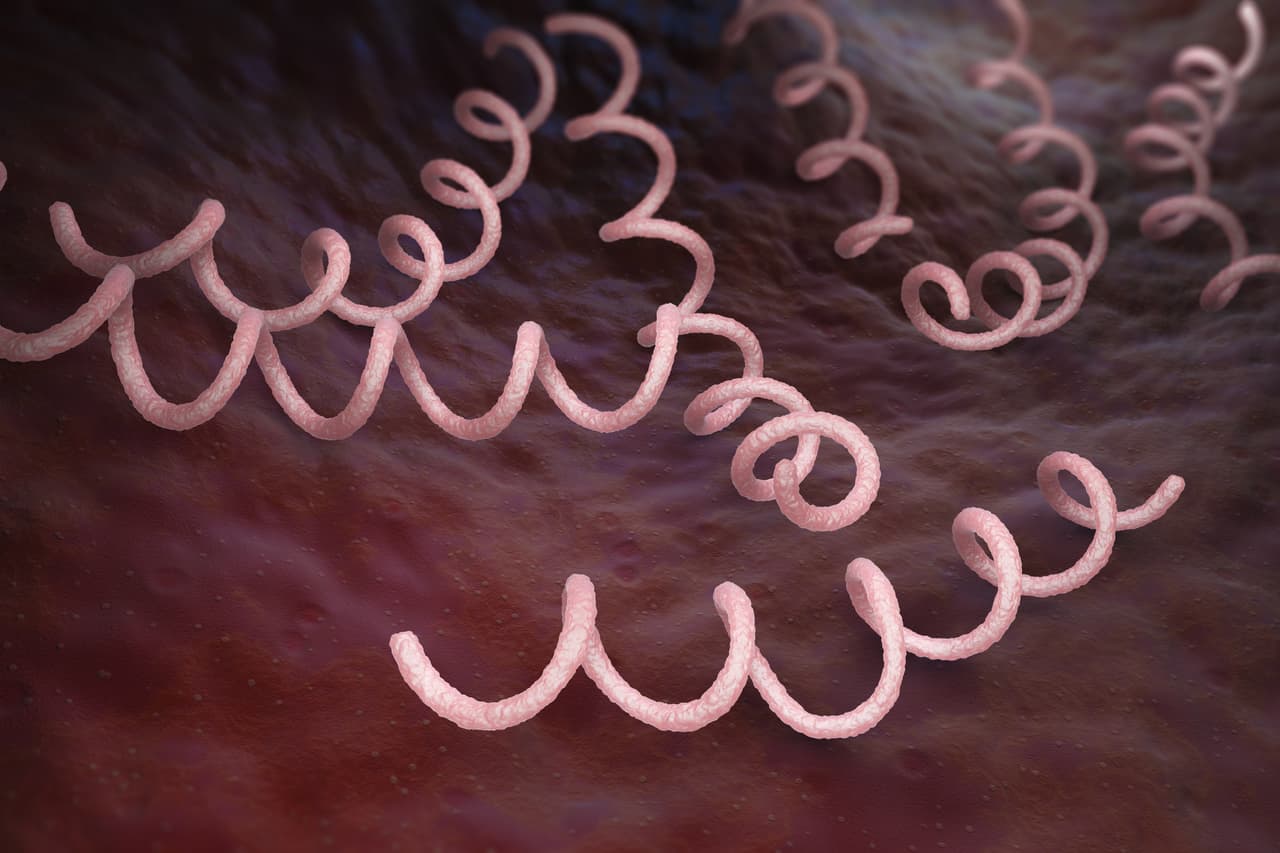 <b>Sífilis. </b>La 
<a href="https://www.cdc.gov/std/spanish/sifilis/stdfact-syphilis-s.htm">sífilis</a> puede tener complicaciones muy graves cuando se deja sin tratar. A la sífilis se la llama “la gran imitadora” porque tiene muchísimos síntomas posibles y muchos de estos se parecen a los de otras enfermedades. La llaga de sífilis que aparece justo después de infectarse por primera vez no produce dolor y puede confundirse con un pelo encarnado, una cortadura con un cierre u otro golpe que no parece dañino.