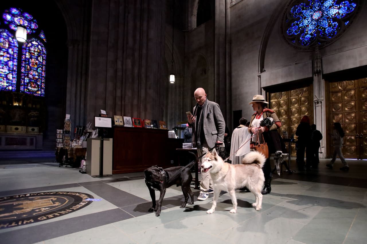 La hermosa catedral fue engalanada con la presencia de los animalitos.