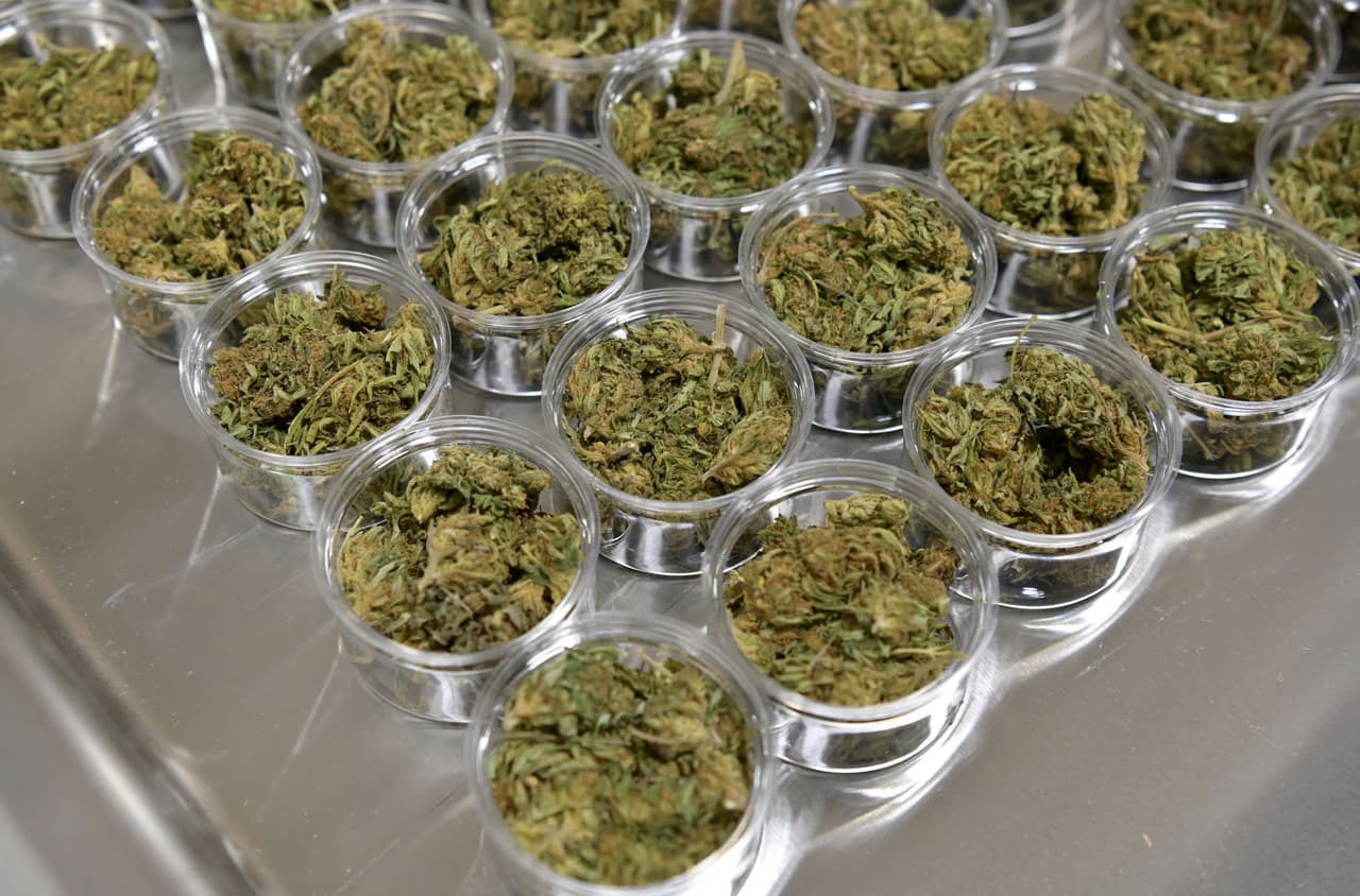 <a href="https://www.texastribune.org/2021/08/11/texas-medical-marijuana-program/" target="_blank">De acuerdo con el Texas Tribune</a>, en cuanto a los pacientes con cáncer, el THC alivia principalmente los efectos secundarios de la quimioterapia, como náuseas, pérdida de apetito y dolores corporales.