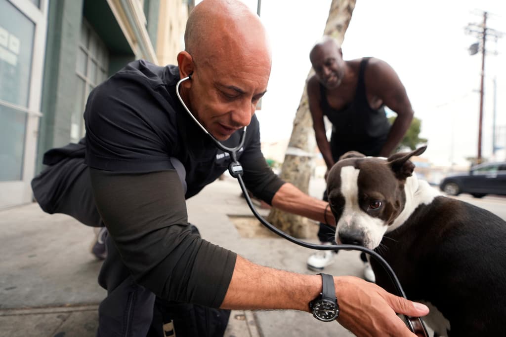 "Estos animales son todo lo que estas personas tienen en su vida. Su única companía, su único amor, un propósito" para seguir adelante, comentó el veterinario Kwane Stewart.