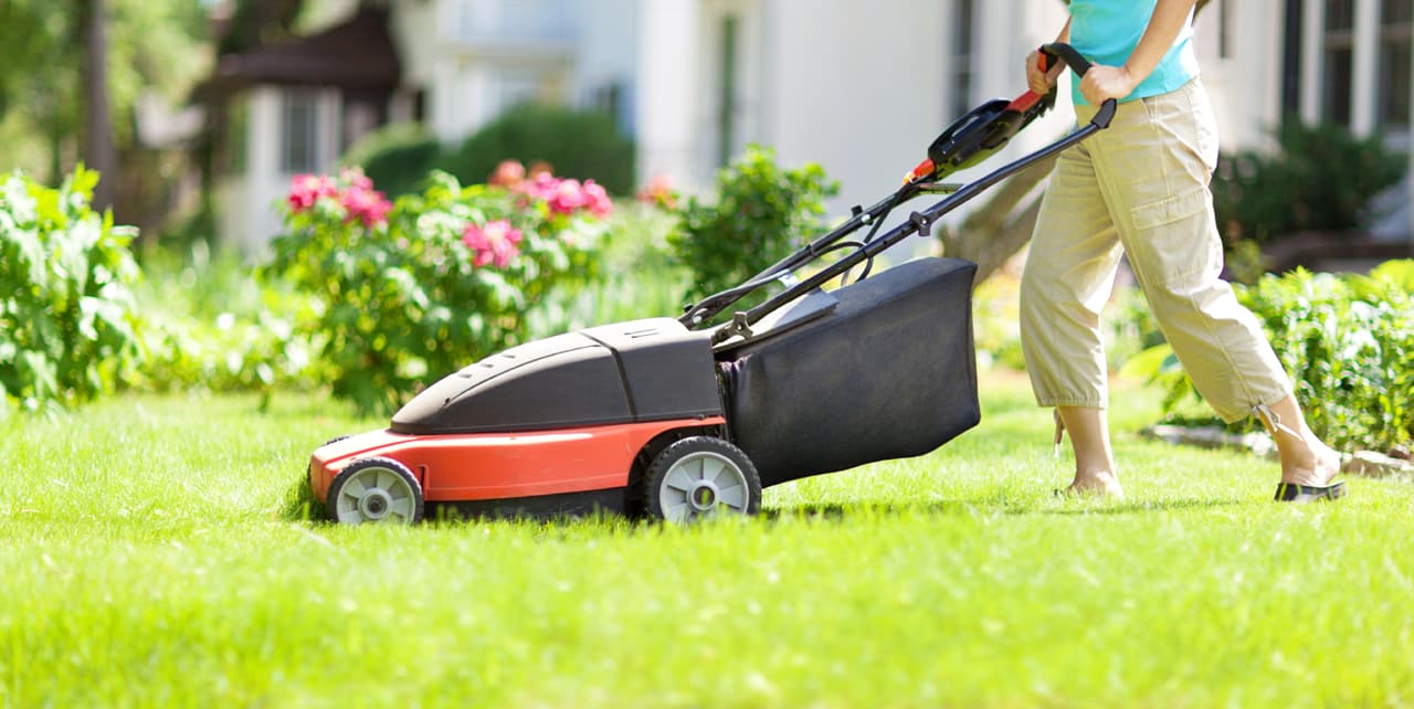 Te decimos cómo recibir un bono de $200 por cambiar tu equipo de jardinería